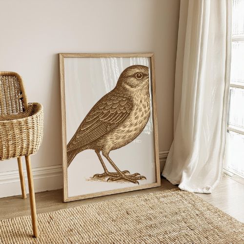 Framed artwork of a bird in a room with a wicker chair and white curtains.